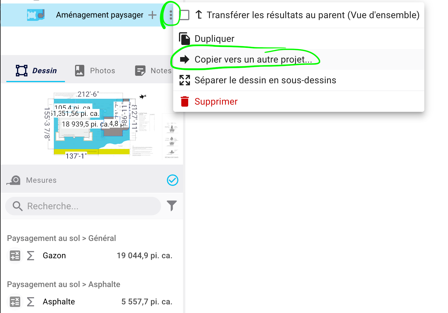 Open the three‑dot menu next to the project and choose Duplicate before editing